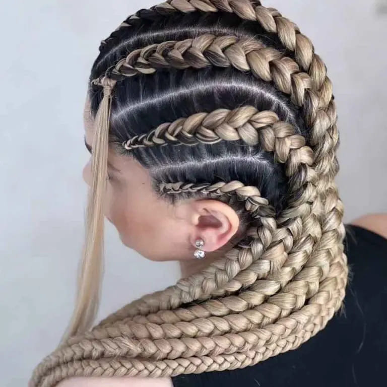 10 Elegant and stylish Braid Hairstyles 6 Black Hair With Thick Blonde African Braids