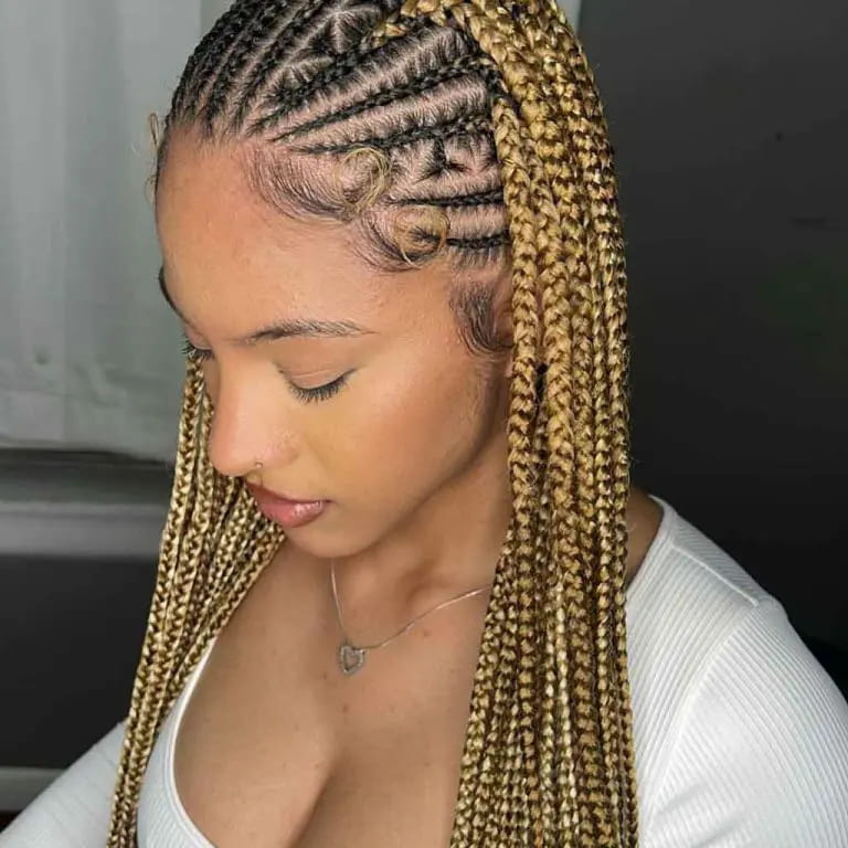 10 Mesmerizing Fulani Braids to Stun Everyone 7 Blonde Freestyle Fulani Braids