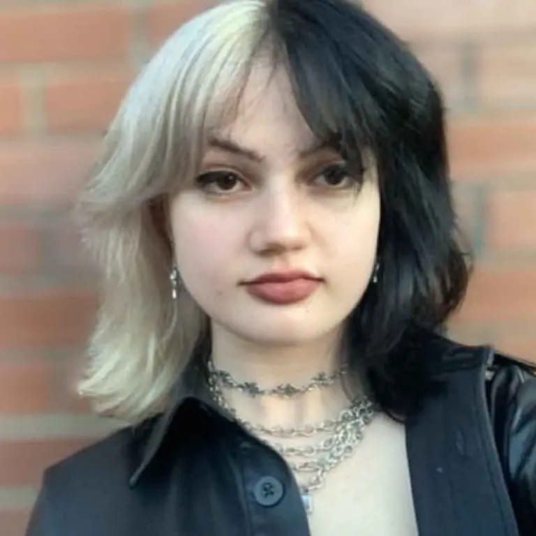 10 Edgy and Stylish Soft Mullet Hairstyles 4 Blonde and Black Gemini Soft Mullet