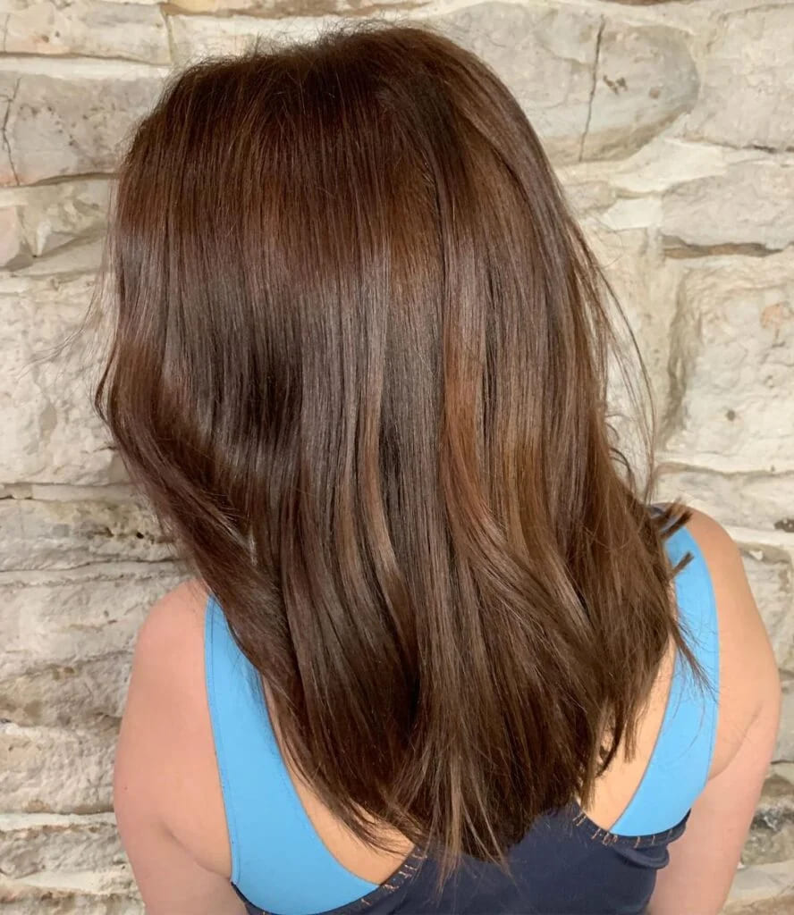 10 Fiery Chestnut Hair Color Ideas 3 Chestnut Balayage Medium Hair