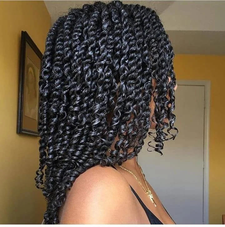 10 Twist Braids Hairstyle Ideas 7 Mini Twists