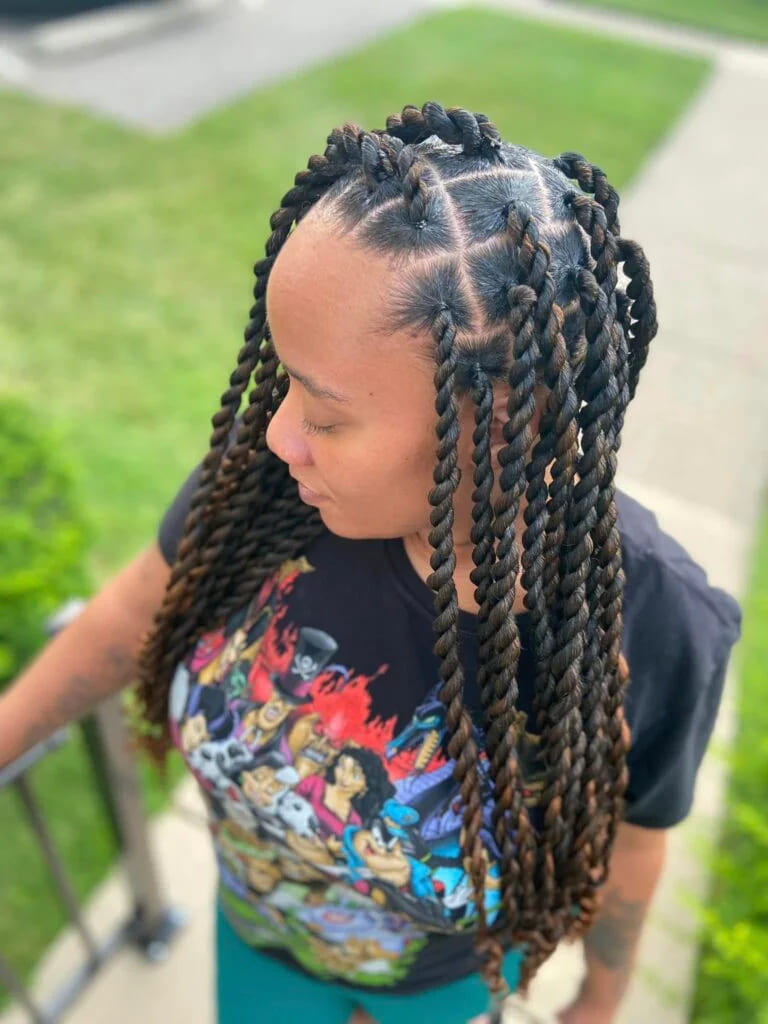 10 Twist Braids Hairstyle Ideas 4 Senegalese Twists