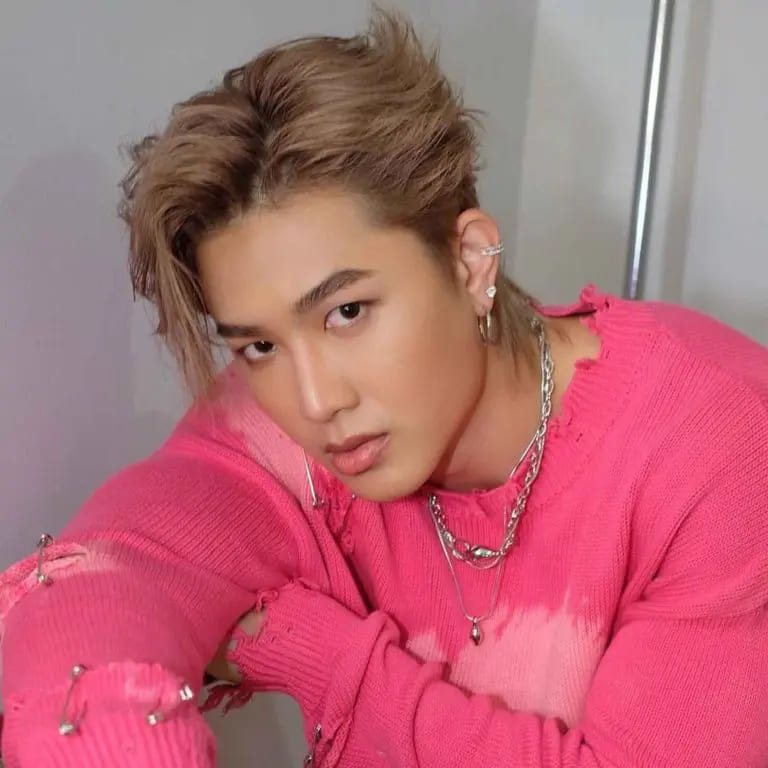 10 Stylish Korean Hairstyles for Men 4 K-Pop Style Centre-Parted Light Brown Hair