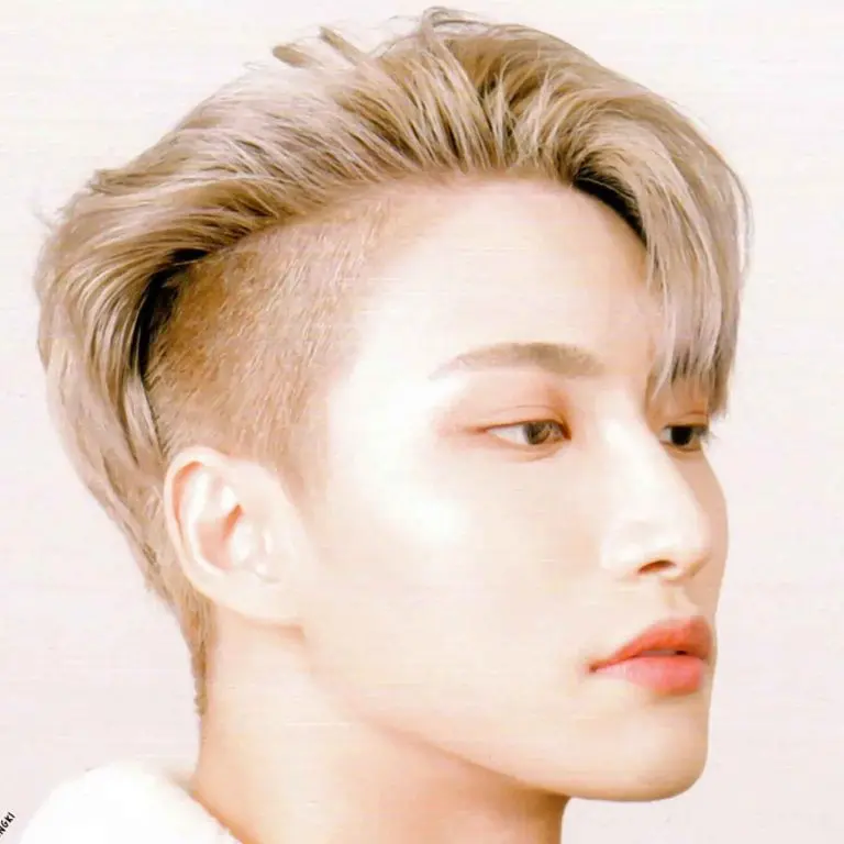 10 Stylish Korean Hairstyles for Men 9 Korean Style Blonde Disconnected Undercut