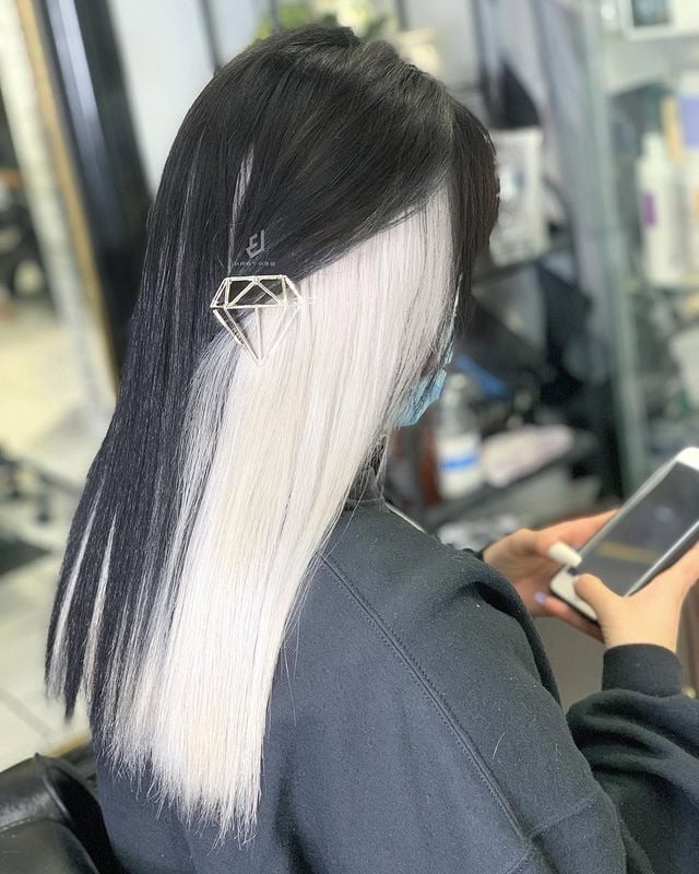 17 Peekaboo Highlights for Dark Hair Ideas 17 black and white contrast highlights