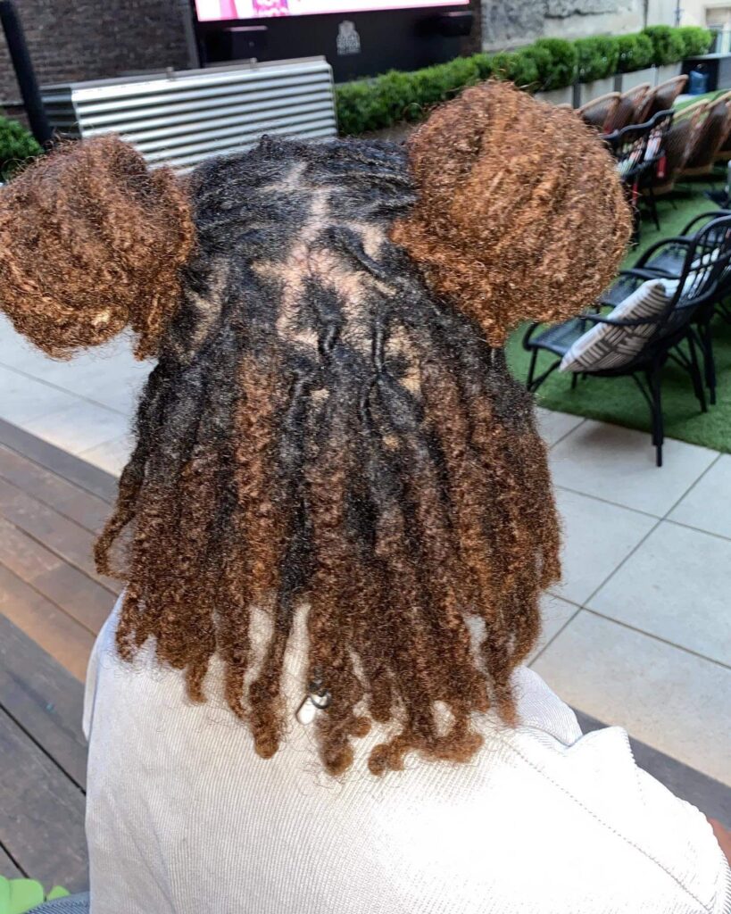 12 Two-Strand Twist Locs Hairstyles: Stunning and Unique Styles for Women 4 half up half down with two high buns