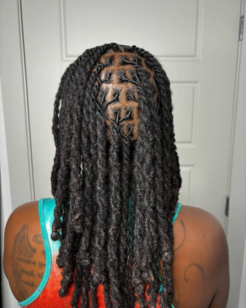 12 Two-Strand Twist Locs Hairstyles: Stunning and Unique Styles for Women 8 medium to long length layered two strand twist locs