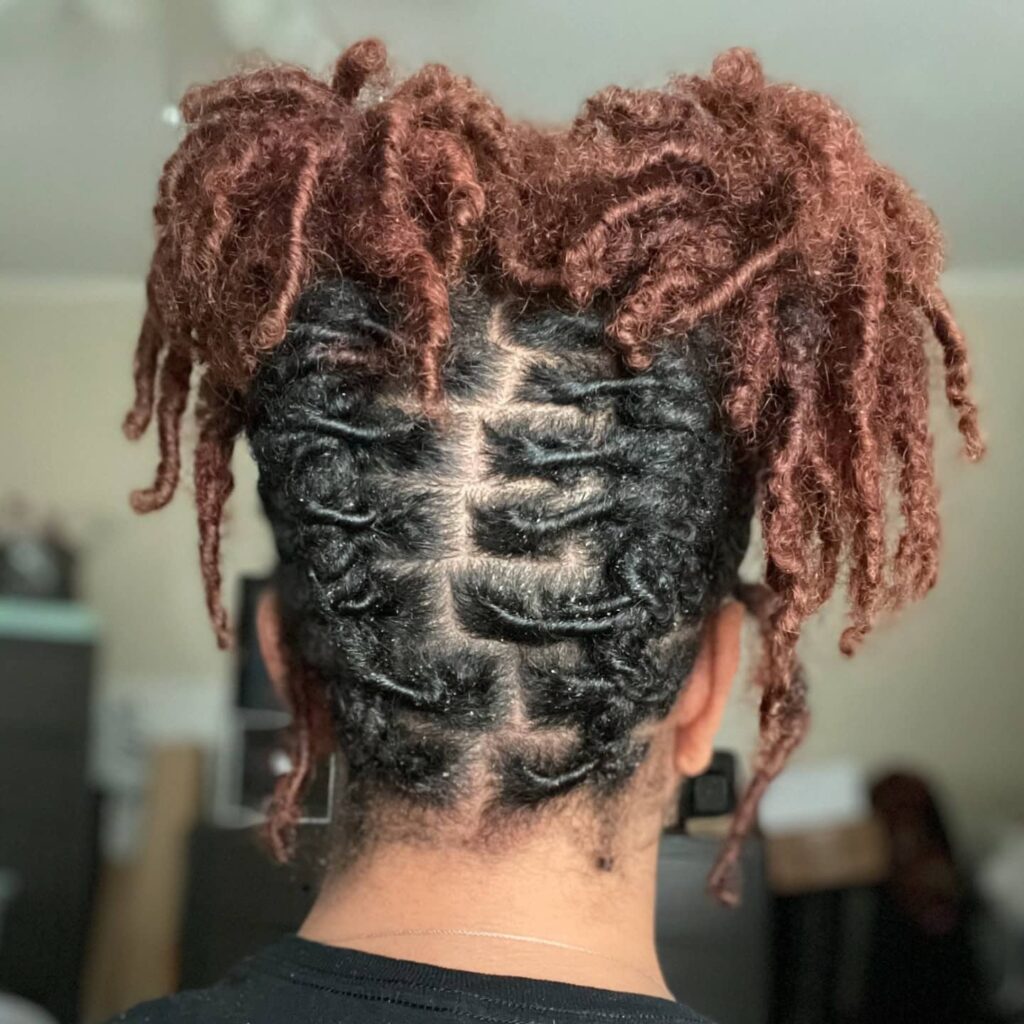 12 Two-Strand Twist Locs Hairstyles: Stunning and Unique Styles for Women 10 parted two strand twist updo