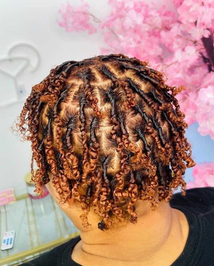 12 Two-Strand Twist Locs Hairstyles: Stunning and Unique Styles for Women 11 short mini two strand twist locs with colored ends