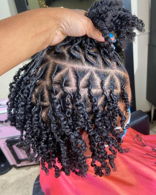 12 Two-Strand Twist Locs Hairstyles: Stunning and Unique Styles for Women 12 short triangle part two strand twist starter locs