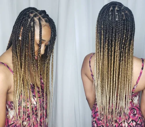 10 Small Box Braids Hairstyles 1 1. Ombre Knotless Box Braids 1