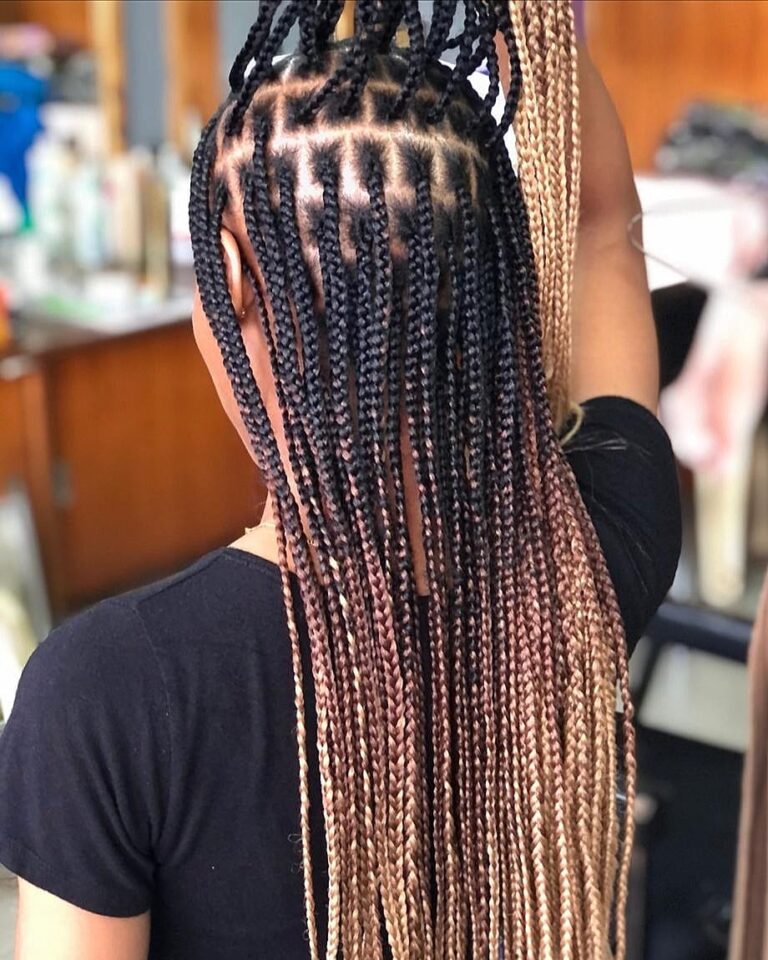 12 Knotless Braids Hairstyle Ideas: Timeless Looks for Every Vibe 10 10. Ombre Knotless Braids 1