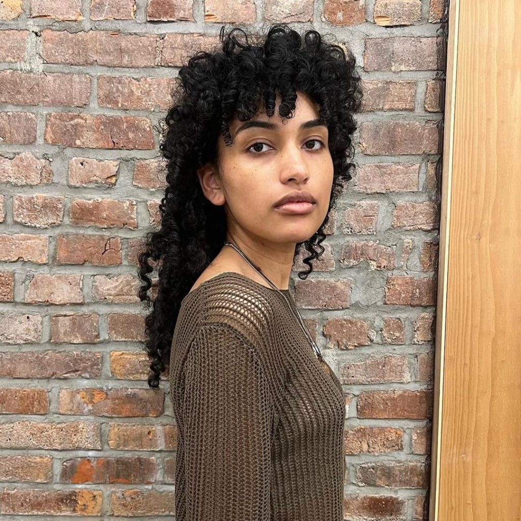30 Best Curly Wolf Cut Ideas to Showcase Your Beautiful Curls 3 2.bbheartburlyq 1024x1024 1