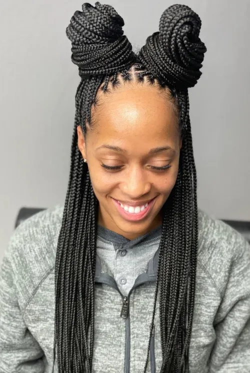 10 Small Box Braids Hairstyles 9 9. Half Up Half Down with Double Topknot 1