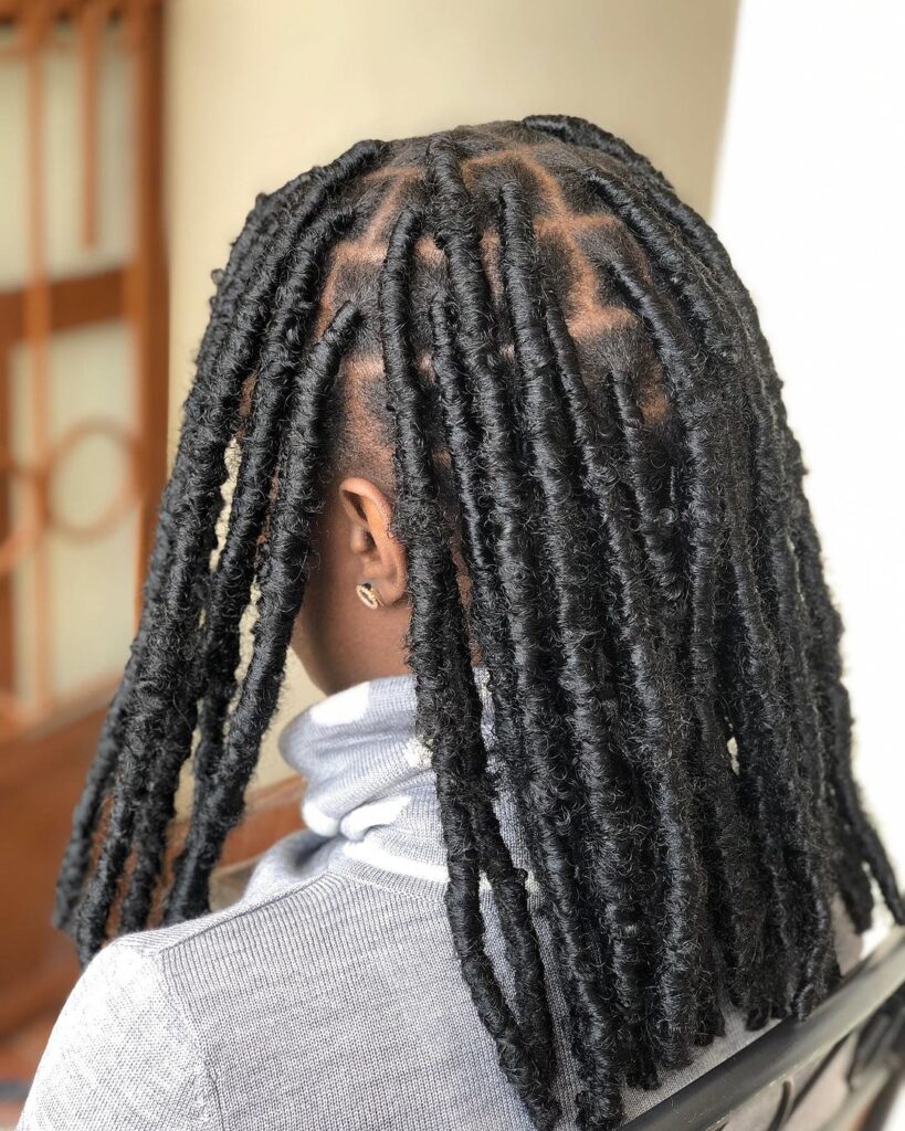 10 Locs Braids Ideas for Women 1 Classic Box Braids with Locs 819x1024 1