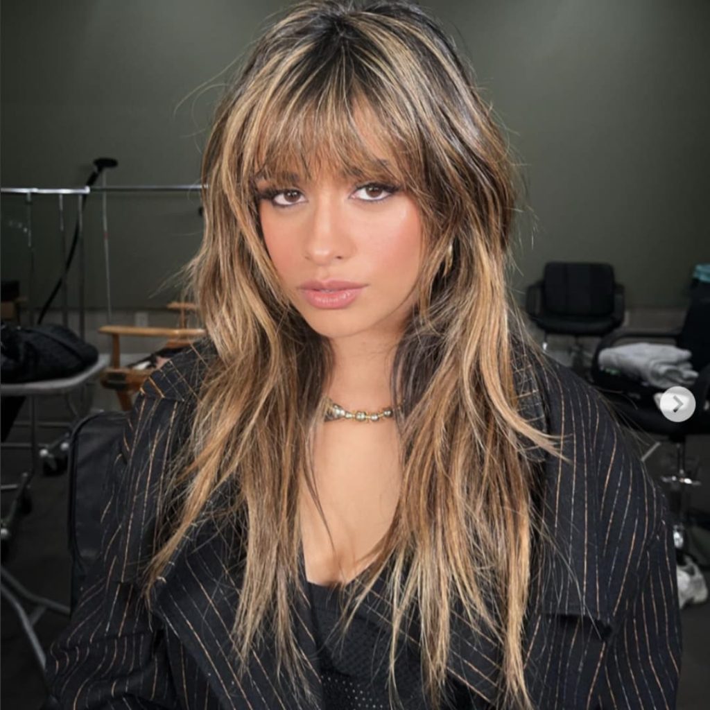27 Best Wolf Cut Hairstyles for Women for All Hair Types, Lengths and Colors! 26 Extended Wolf Cut dimitrishair 1024x1024 1