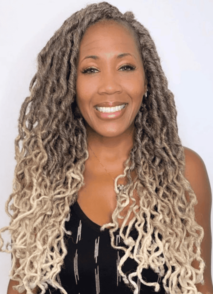 10 Bohemian Locs Hairstyles for Women 8 Ombre Look 742x1024 2