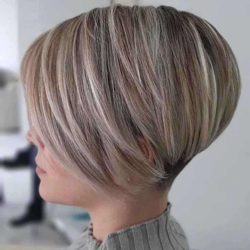 15 Whimsical Long Pixie Bob Ideas! 15 Untitled 1 0015 IMG 6572