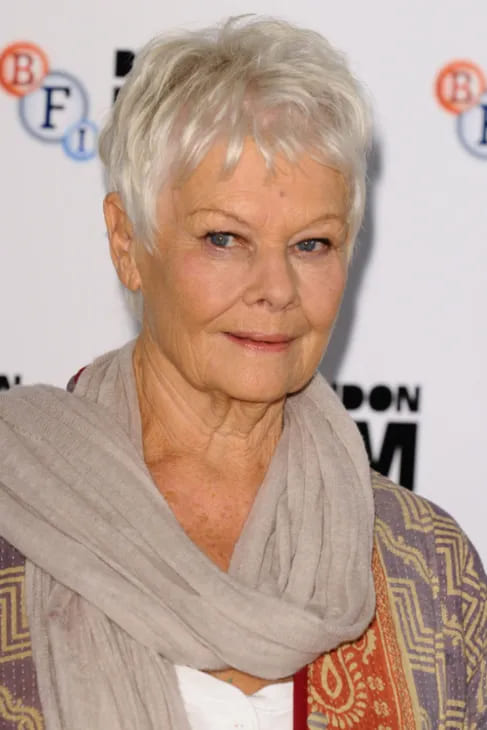 10 Best Hairstyles for Women Over 70 3 rendy Short Haircut